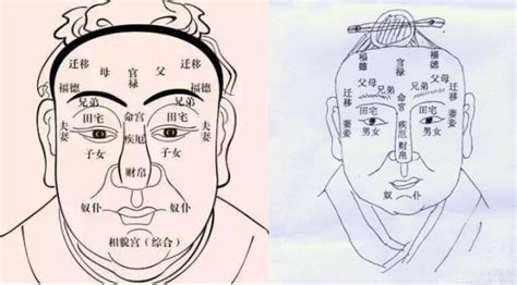 二奶命面相|面相学图解